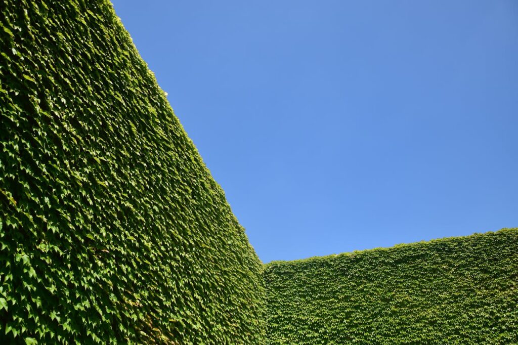 Hedge Health